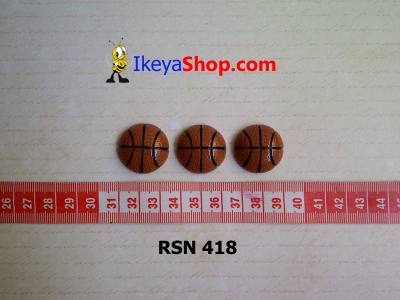 rsn 418  large2